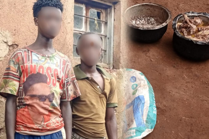 Gasabo: Abasore babiri bafatiwe mu cyuho batetse inyama z’imbwa bikekwa ko bashakaga kuzigaburira abana