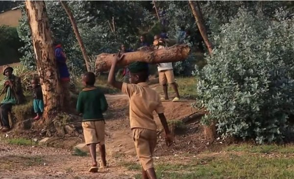 Karongi: Abanyeshuri b’ishuri rya Rucura batundishwa inkwi mu masaha y’amasomo